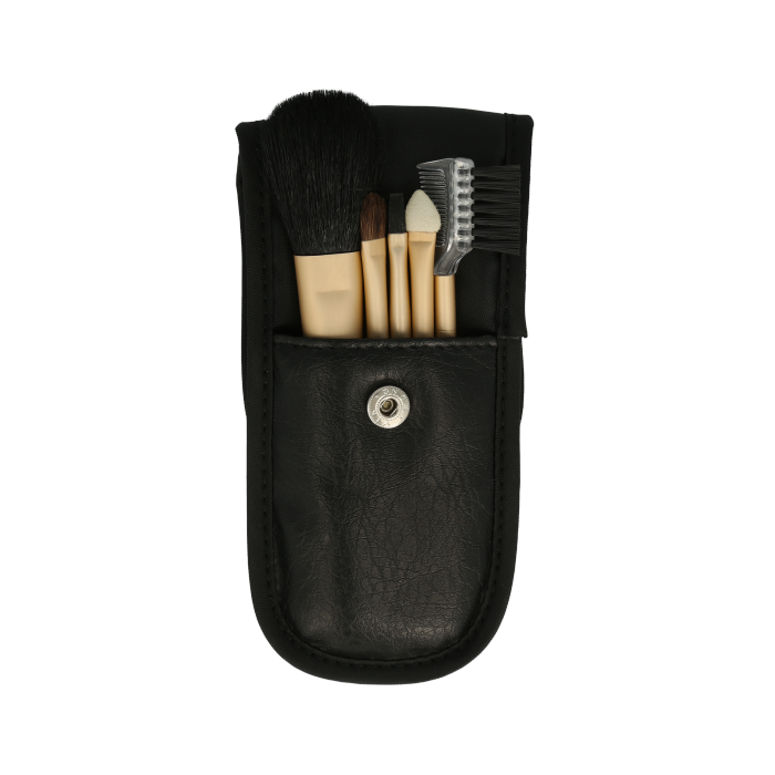 Brush Set (1st)