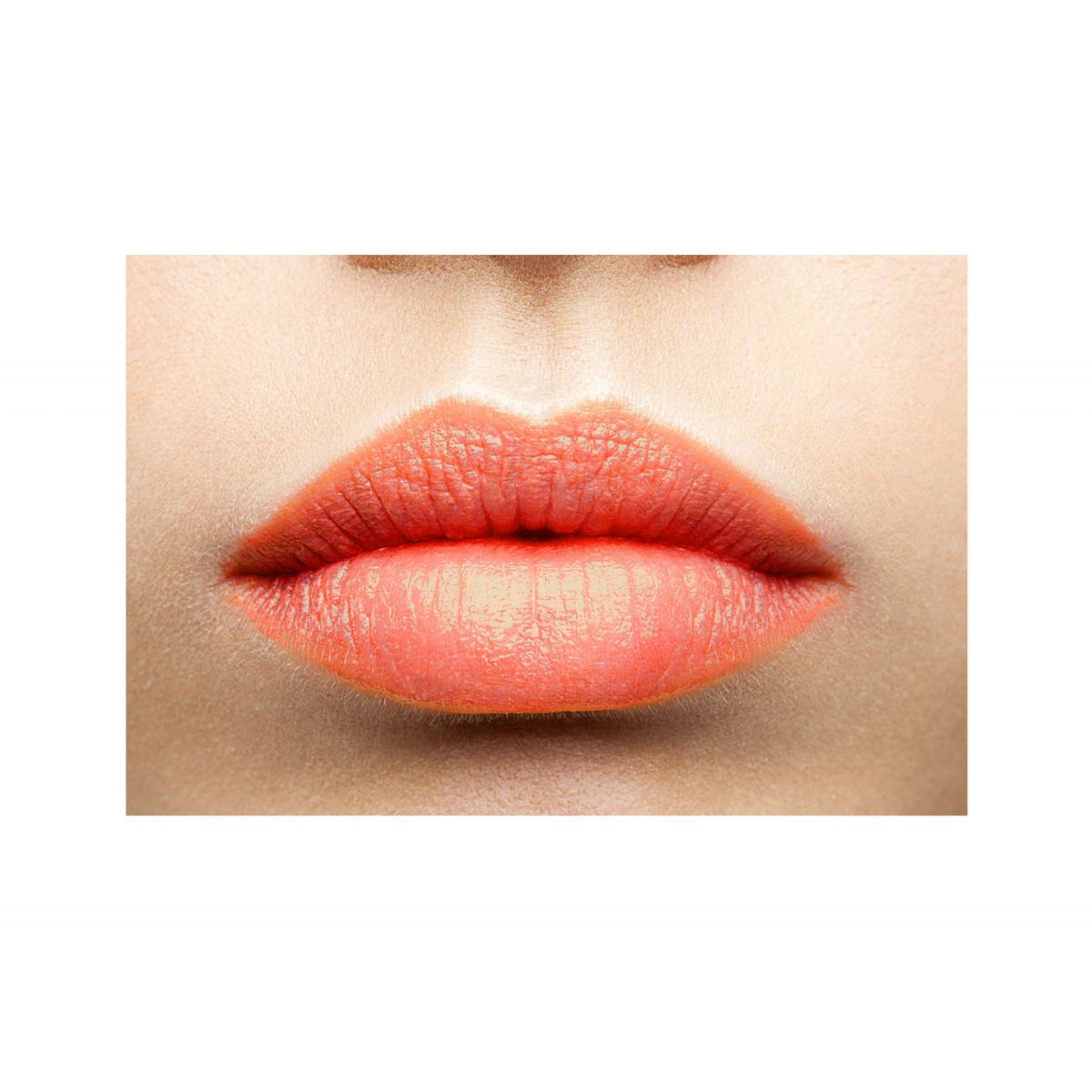 Lip Care Colour (Blossom) - Bild 3