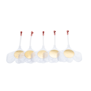 Lungor Little Baby QCPR, 24-pack