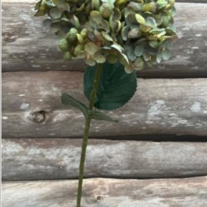 Konstblomma Hortensia Grön